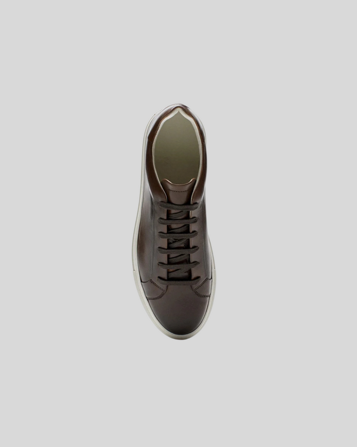 Leather Oxford Sneakers - Brown